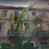 коммерческая недвижимость495 000 EUR Афины ID-104928 изображение 2