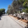 участок900 000 EUR Аттика ID-112292 изображение 10