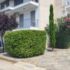 2-комн. квартира125 000 EUR Кассандра ID-112299 изображение 3