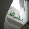 1-комн. дом2 150 000 EUR Аттика ID-112361 изображение 3
