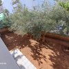 1-комн. квартира425 000 EUR Афины ID-112391 изображение 4