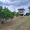 1-комн. дом300 000 EUR Кассандра ID-112434 изображение 24