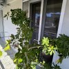 2-комн. квартира120 000 EUR Олимпийская Ривьера ID-112515 изображение 18