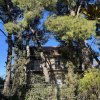 участок1 180 000 EUR Афины ID-112573 изображение 14