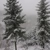 2-комн. дом135 000 EUR Poligiros ID-112629 изображение 5