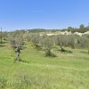 участок100 000 EUR Ситония ID-112724 изображение 6