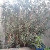 3-комн. квартира280 000 EUR Ситония ID-112881 изображение 4