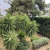 1-комн. квартира380 000 EUR Афины ID-112898 изображение 1