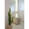1-комн. квартира575 000 EUR Кассандра ID-112920 изображение 16