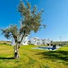 1-комн. дом340 000 EUR Кассандра ID-112964 изображение 16