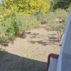 1-комн. дом220 000 EUR Кассандра ID-112990 изображение 6