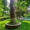1-комн. вилла450 000 EUR Кассандра ID-113135 изображение 20