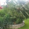 1-комн. вилла450 000 EUR Кассандра ID-113135 изображение 22