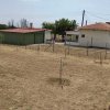 коммерческая недвижимость750 000 EUR Ксанти ID-113219 изображение 18