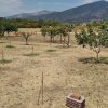 коммерческая недвижимость750 000 EUR Ксанти ID-113219 изображение 21