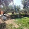 участок2 300 000 EUR Poligiros ID-113261 изображение 2