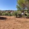 участок170 000 EUR Poligiros ID-113271 изображение 5