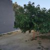 5+ -комн. готовый бизнес1 200 000 EUR Ситония ID-113284 изображение 20