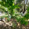 1-комн. дом340 000 EUR Ситония ID-113318 изображение 16