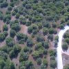 участок2 000 000 EUR Ситония ID-113319 изображение 4