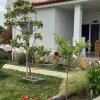 2-комн. дом500 000 EUR Ситония ID-113327 изображение 6