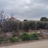 участок330 000 EUR Poligiros ID-113349 изображение 14