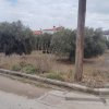 участок330 000 EUR Poligiros ID-113349 изображение 19