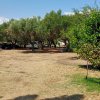 дом340 000 EUR Ситония ID-113351 изображение 10