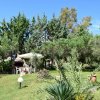 5+ -комн. гостиница530 000 EUR Ситония ID-113363 изображение 16