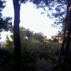 участок550 000 EUR Аттика ID-113379 изображение 3