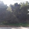 участок550 000 EUR Аттика ID-113379 изображение 5