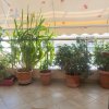 1-комн. квартира300 000 EUR Афины ID-113502 изображение 11