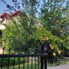 2-комн. вилла430 000 EUR Кассандра ID-113531 изображение 13