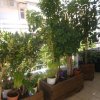 1-комн. квартира850 000 EUR Афины ID-113549 изображение 2