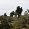 1-комн. квартира430 000 EUR Ситония ID-113622 изображение 25