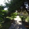 участок1 650 000 EUR Афины ID-113693 изображение 10