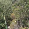 участок2 500 000 EUR Ситония ID-113702 изображение 6