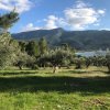 участок265 000 EUR Аттика ID-113703 изображение 2