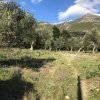 участок265 000 EUR Аттика ID-113703 изображение 4