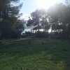 участок265 000 EUR Аттика ID-113703 изображение 5