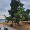 1-комн. квартира220 000 EUR Poligiros ID-113759 изображение 3