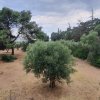 1-комн. квартира220 000 EUR Poligiros ID-113759 изображение 13