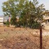 участок400 000 EUR Аттика ID-113760 изображение 6