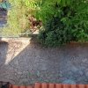 1-комн. квартира315 000 EUR Афины ID-113788 изображение 8