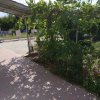 1-комн. квартира75 000 EUR Олимпийская Ривьера ID-113790 изображение 10