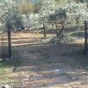 участок150 000 EUR Кавала ID-113838 изображение 2