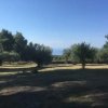 участок190 000 EUR Кассандра ID-113841 изображение 1