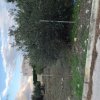 участок160 000 EUR Аттика ID-113860 изображение 3