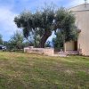 2-комн. квартира280 000 EUR Кассандра ID-113926 изображение 1