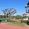 1-комн. вилла360 000 EUR Олимпийская Ривьера ID-113954 изображение 4